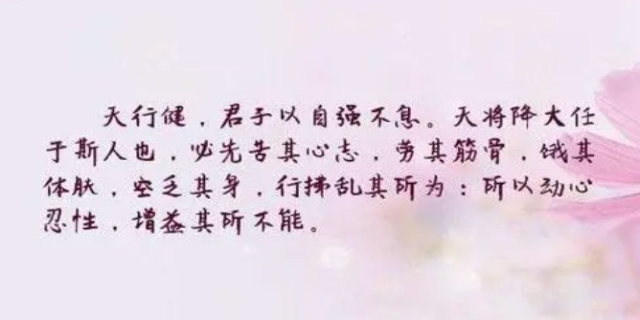 白话文是什么意思